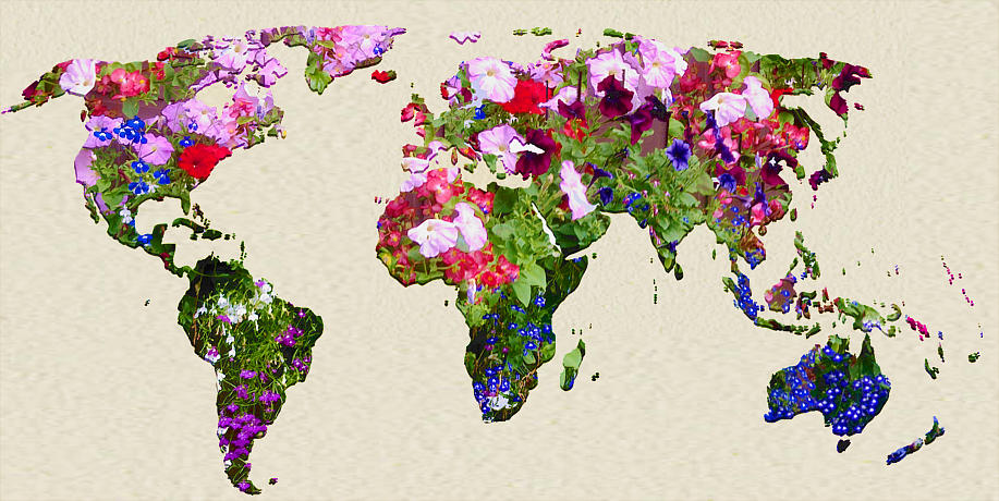 World Map made out of flowers - Future Views Magazine